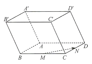 Hình minh họa câu hỏi
